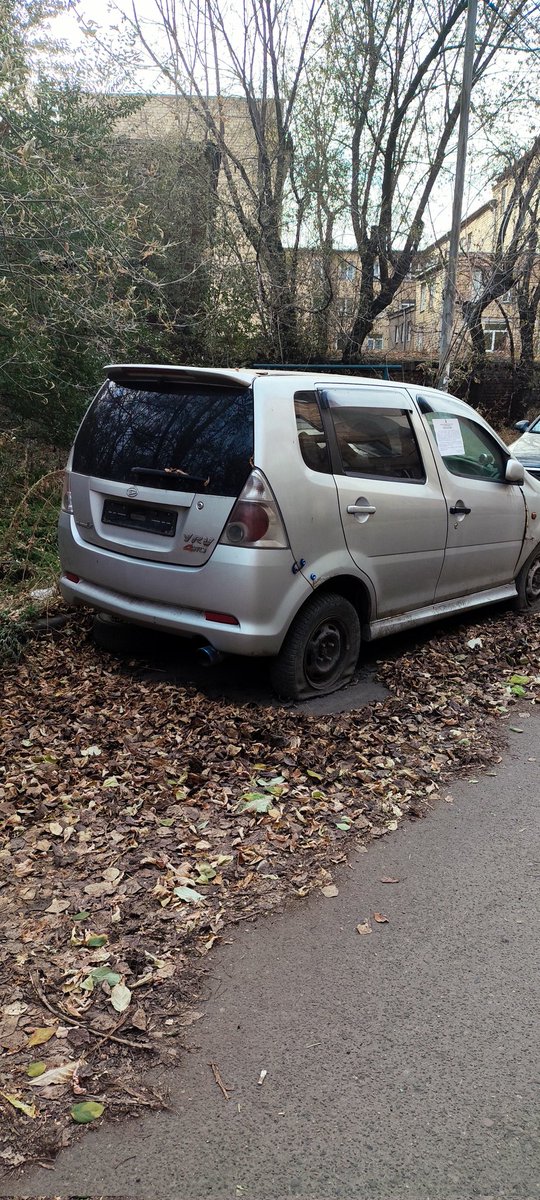 Live Forever tweet media