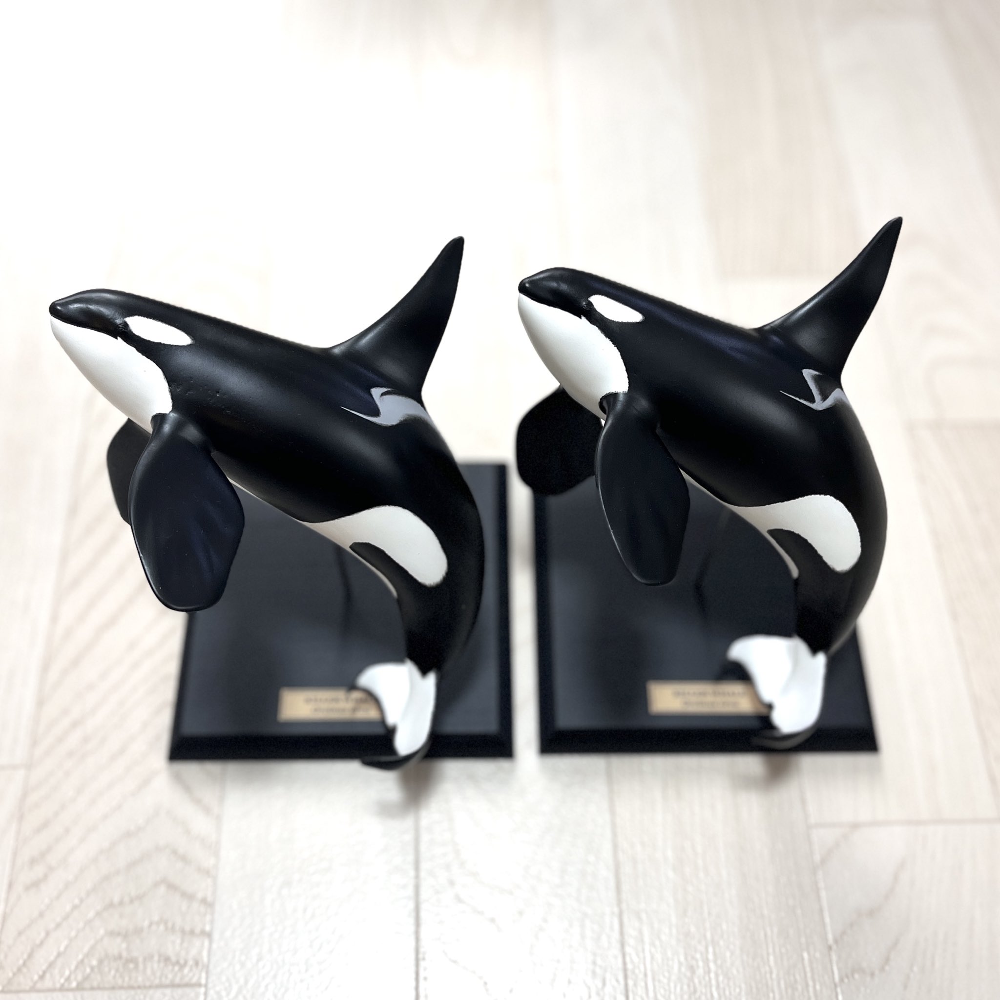 シャチおら しゃちまみれ on X: 