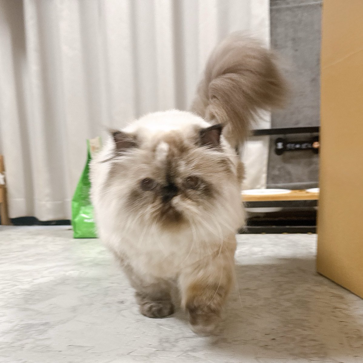 じゅん☆じゅん (@jun_jun2525) / Posts / X