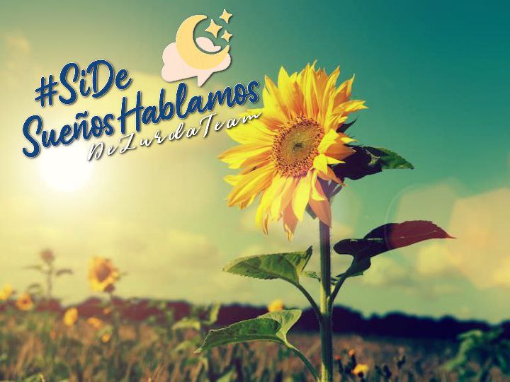 Daniel Figueroa (@danielfigreyes) on Twitter photo #SiDeSueñosHablamos que este girasol nos ilumine para que nuestro pueblo salga adelante.
#DeZurdaTeam
<a href="/DeZurdaTeam_/">DeZurdaTeam 📳</a> #SiDeSueñosHablamos que este girasol nos ilumine para que nuestro pueblo salga adelante.
#DeZurdaTeam
<a href="/DeZurdaTeam_/">DeZurdaTeam 📳</a>