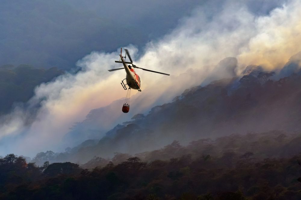 AtlaiWorld's tweet image. Bolivia faces a wildfire challenge with a recent incident in Santa Cruz, amid a 5.61% loss in tree cover over two decades. #BoliviaWildfires #EnvironmentalConcern #ATLAI #ChartAGreenPath #togetherforhumanity
atlaiworld.com/alerts/09-10-2…