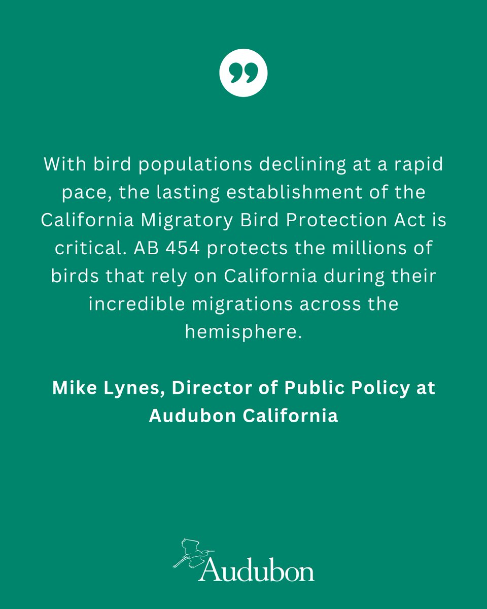 AudubonCA's tweet image. The Migratory Bird Treaty Act (MBTA) has protected birds for 100+ years, including after the Exxon Valdez oil spill. #AB454 ensures strong state safeguards endure, regardless of changes to federal protections under the MBTA.
