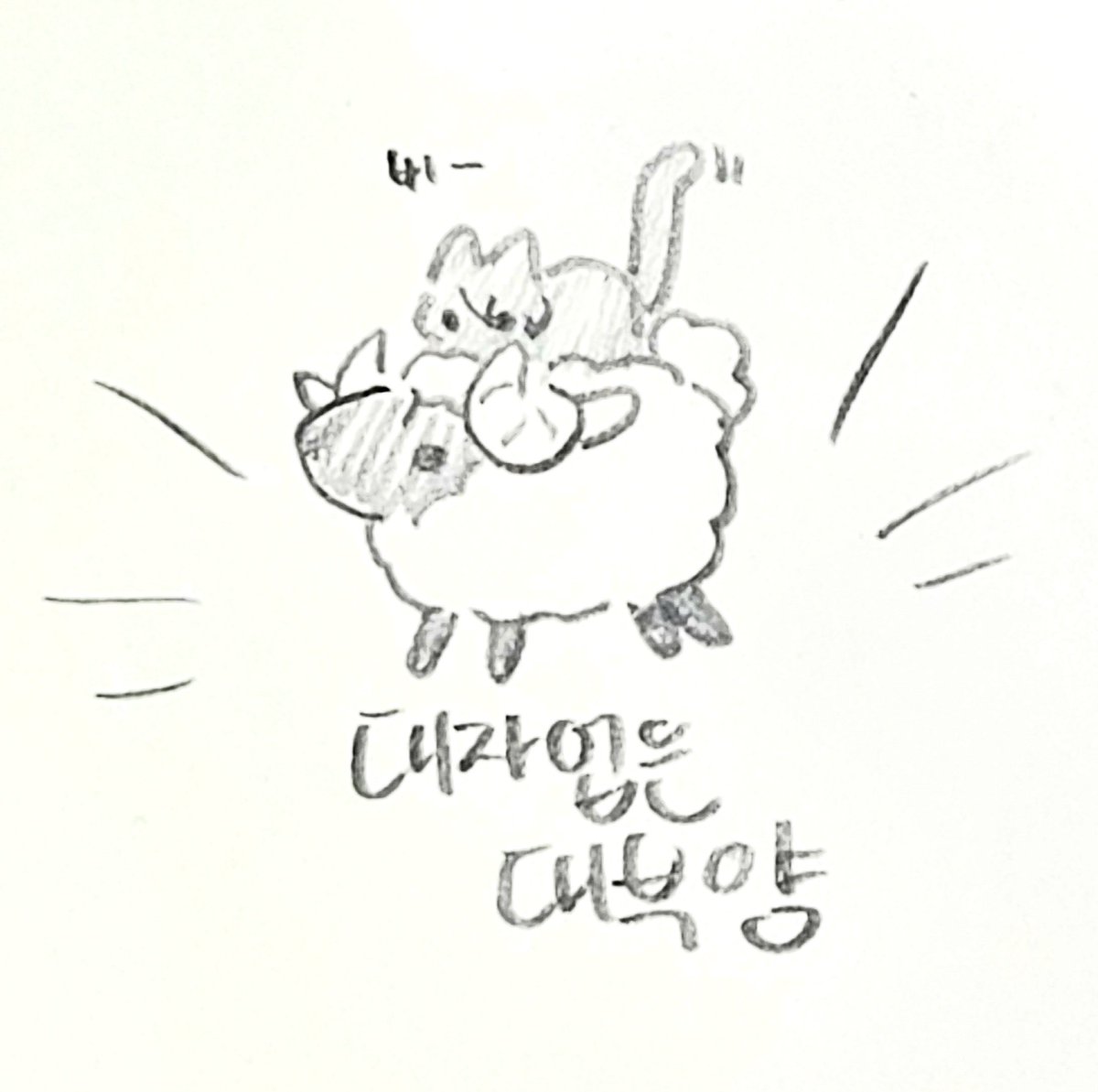 백금 tweet media