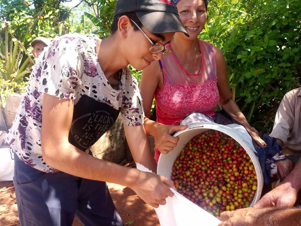 👉 Cada grano cuenta en esta cosecha cafetalera que en #Maisí ha tenido en contra: primero, la sequía; después, las fuertes lluvias; pero ahí están las manos ágiles, prontas para llevar los rojos o amarillos frutos al saco.

#JuntosPodemosMás #GuerrerosDelGuaso