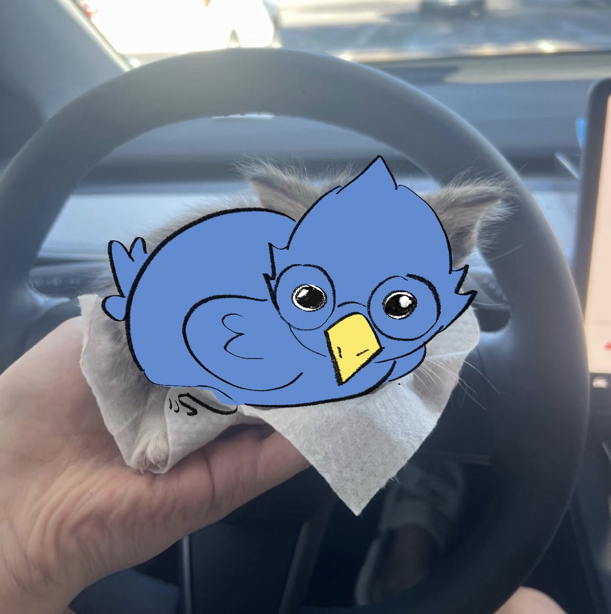 Tweet media one