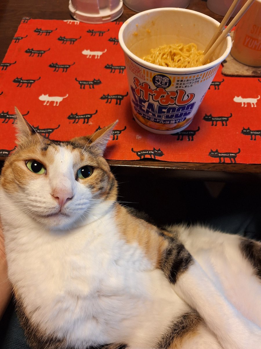 kawaii_nekoniko's tweet image. 汁なしシーフードたべました