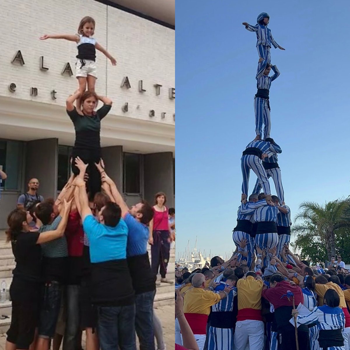 Muixeranga d'Alacant tweet media