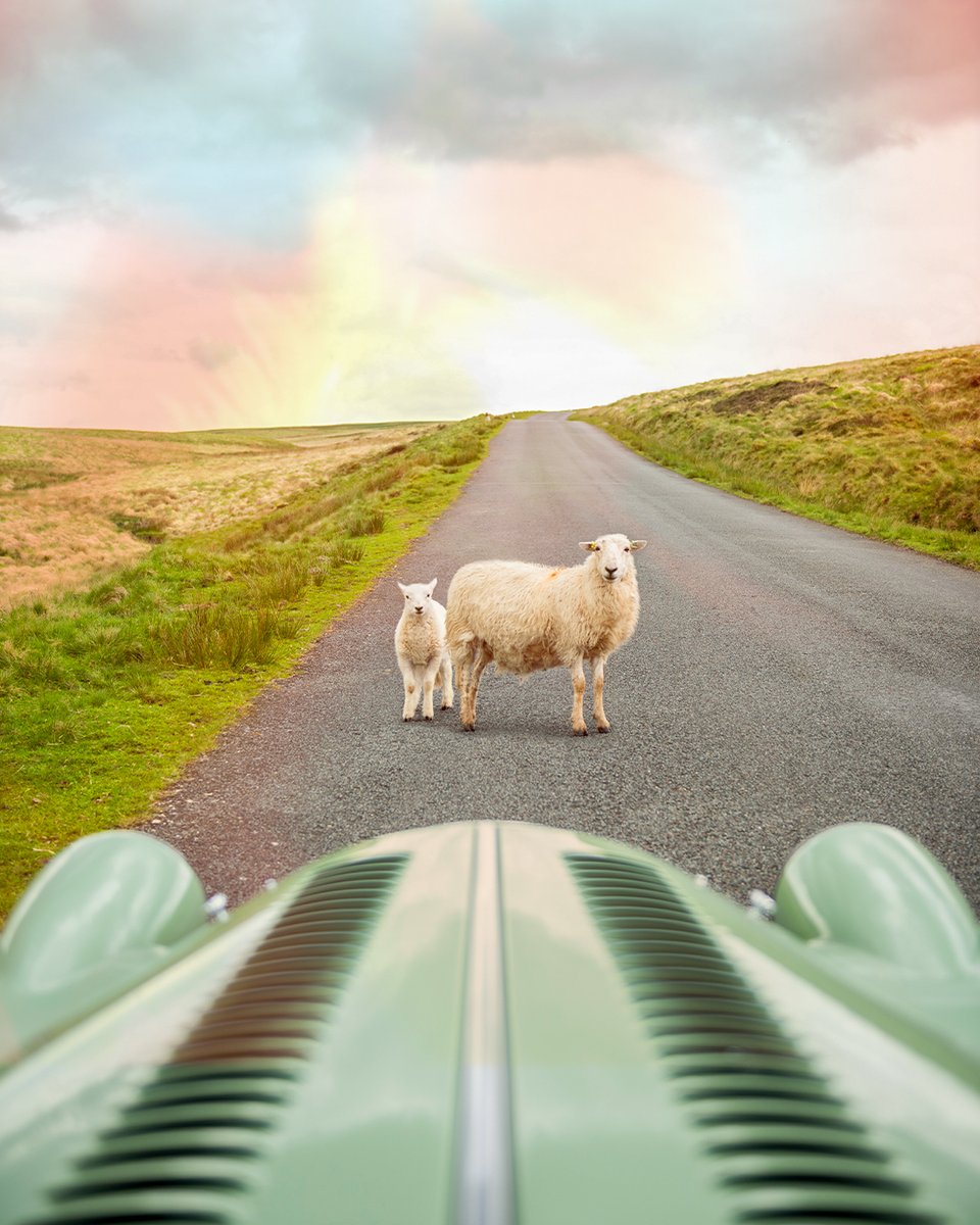 morganmotor's tweet photo. Across continents and decades, a timeless view.
Discover the enduring appeal of Plus Four https://t.co/Hclg0l80r9
#Morgan #PlusFour #TimeWellSpent #BehindTheWheel https://t.co/wZljV95zi1