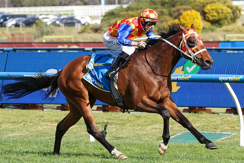 mmsnippets's tweet image. NEWS: Autumn Boy Stars as MM Grads Go 1-2 in Guineas

Autumn Boy announced himself as one of the Southern Hemisphere’s hottest three-year-olds and most lucrative stallion prospects with a brilliant win in today’s $3M Group 1 Caulfield Guineas.

Read more: magicmillions.com.au/autumn-boy-sta…