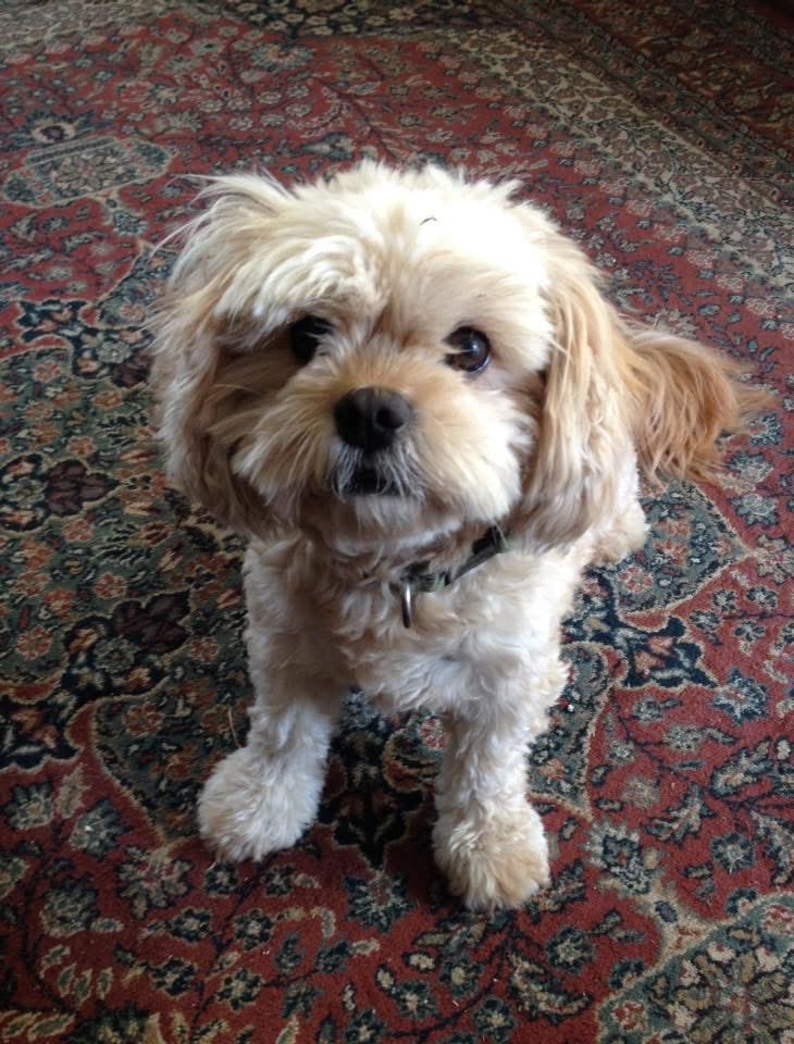 Geoff Valent tweet media