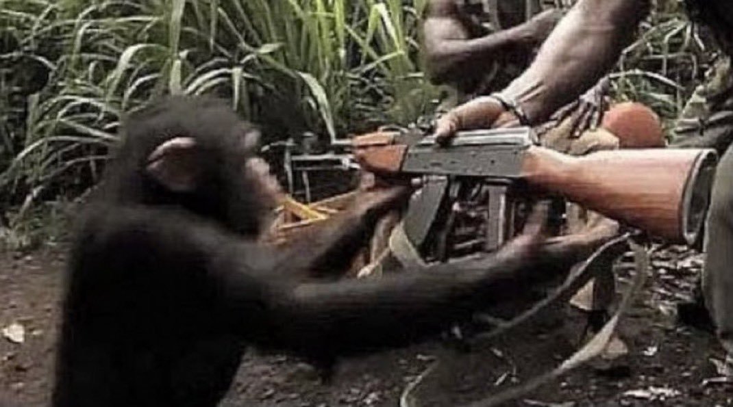 theblockopedia_'s tweet image. Trust is like your memecoin—worthless until proven otherwise. Good luck finding that proof!  

#CryptoHumor #TrustIssues #MemecoinMadness