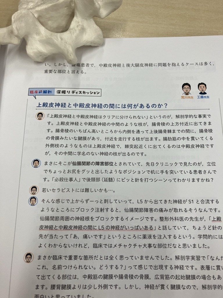 解剖学 LF87-033 医学書院 ランツ下肢臨床解剖学 1979 J.LANG/W.WACHSMUTH