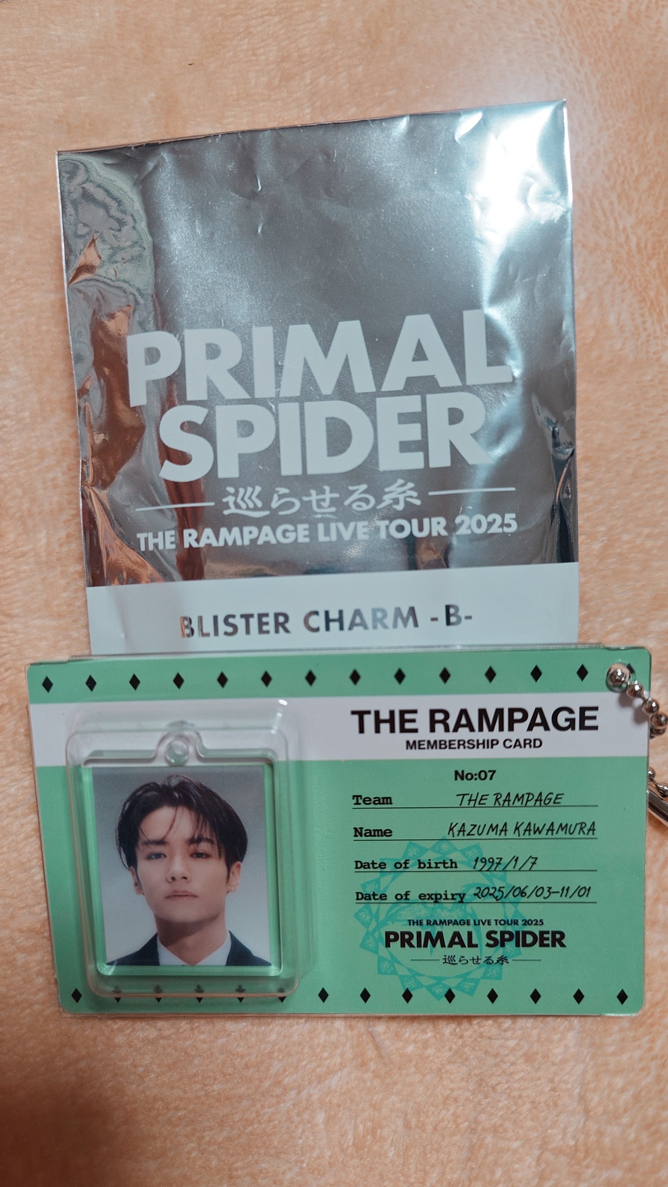 THE RAMPAGE PRIMAL SPIDER 藤原樹 クッション 藤原樹クッション縁日 特賞激レア PRIMALSPIDERTHE RAMPAGE THE