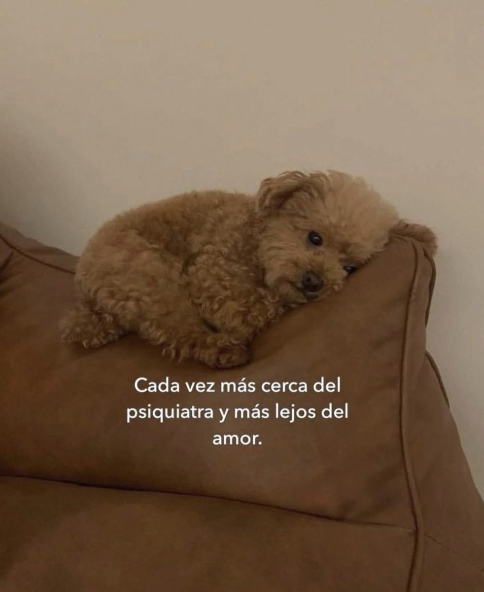 thusitoatul's tweet image. 