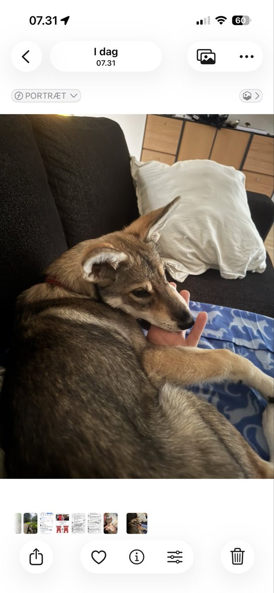 Sjiit man skal tidligt op med sår’n en bette en 😅
0530 og så er der knald på fra start 😂