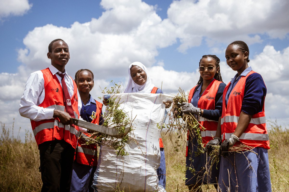 KWSKenya's tweet photo. 𝐂𝐞𝐥𝐞𝐛𝐫𝐚𝐭𝐢𝐧𝐠 𝐌𝐚𝐳𝐢𝐧𝐠𝐢𝐫𝐚 𝐃𝐚𝐲 𝐀𝐜𝐫𝐨𝐬𝐬 𝐎𝐮𝐫 𝐏𝐚𝐫𝐤𝐬 𝐚𝐧𝐝 𝐑𝐞𝐠𝐢𝐨𝐧𝐬! 🌱

Yesterday, to mark 𝐌𝐚𝐳𝐢𝐧𝐠𝐢𝐫𝐚 𝐃𝐚𝐲, teams across the Service joined hands with partners and communities to take action for nature.

In the 𝐒𝐨𝐮𝐭𝐡𝐞𝐫𝐧 𝐂𝐨𝐧𝐬𝐞𝐫𝐯𝐚𝐭𝐢𝐨𝐧 𝐀𝐫𝐞𝐚, Nairobi National Park partnered with Maniago Safaris through the Luigi Foundation, World Leaders of Today (WLT) via their Stand Up Shout Out (SUSO) programme, and Kenya Medical Training College (KMTC) Karuri Campus in a joint habitat management initiative.

Over 𝟏𝟎𝟎 𝐲𝐨𝐮𝐭𝐡 𝐯𝐨𝐥𝐮𝐧𝐭𝐞𝐞𝐫𝐬 participated in the removal of Parthenium, an invasive plant threatening biodiversity - successfully uprooting 𝟐𝟓𝟔 𝐤𝐠 of the harmful species!

Meanwhile, in the 𝐖𝐞𝐬𝐭𝐞𝐫𝐧 𝐂𝐨𝐧𝐬𝐞𝐫𝐯𝐚𝐭𝐢𝐨𝐧 𝐀𝐫𝐞𝐚, our team joined pupils and teachers of 𝐋𝐢𝐭𝐚𝐯𝐨 𝐏𝐫𝐢𝐦𝐚𝐫𝐲 𝐒𝐜𝐡𝐨𝐨𝐥, 𝐊𝐢𝐭𝐚𝐥𝐞, to plant 𝟐𝟓𝟎 𝐟𝐫𝐮𝐢𝐭 𝐭𝐫𝐞𝐞𝐬 - nurturing both the environment and young learners, and growing a greener future one tree at a time.

Together, we’re making a real difference for Kenya’s environment - from our capital’s wild backyard to the heart of the western highlands. 🌱#MazingiraDay #TwendeWild #TembeaKenya #ExploreKenyaParks #ForNature