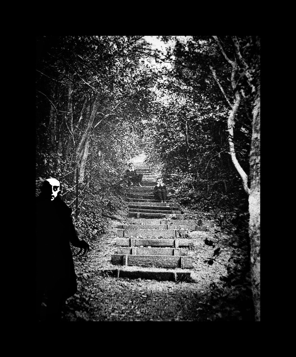 Victorian Barry Experience tweet media