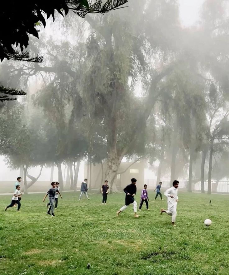 الصورة ذكرتني بلقاءات الجنة، بلا هَمٍ أو كَبَد :)