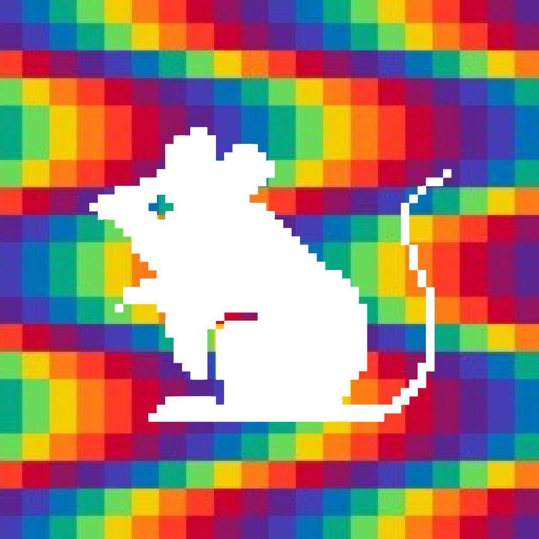 铭文三强 $rats $dsats $ordi 这个价格真香啊！

可惜被爆得没有钱抄底了！

谁去开了那对贪得无厌夫妇的瓢？