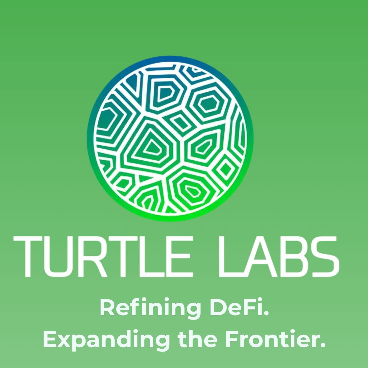 TurtleLabsV's tweet image. Make atleast 5 Trades on @TurtleLabsV and start Earning!
Add discipline to your DeFi flow → join The Shell Race. 🐢
#TradeOnTurtle #DeFiWithDiscipline