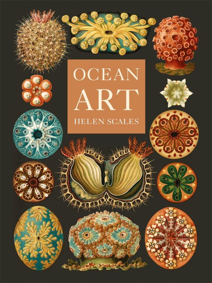 Marine muses

📌  nature.com/articles/s4155… [£]
📚  reaktionbooks.co.uk/work/ocean-art