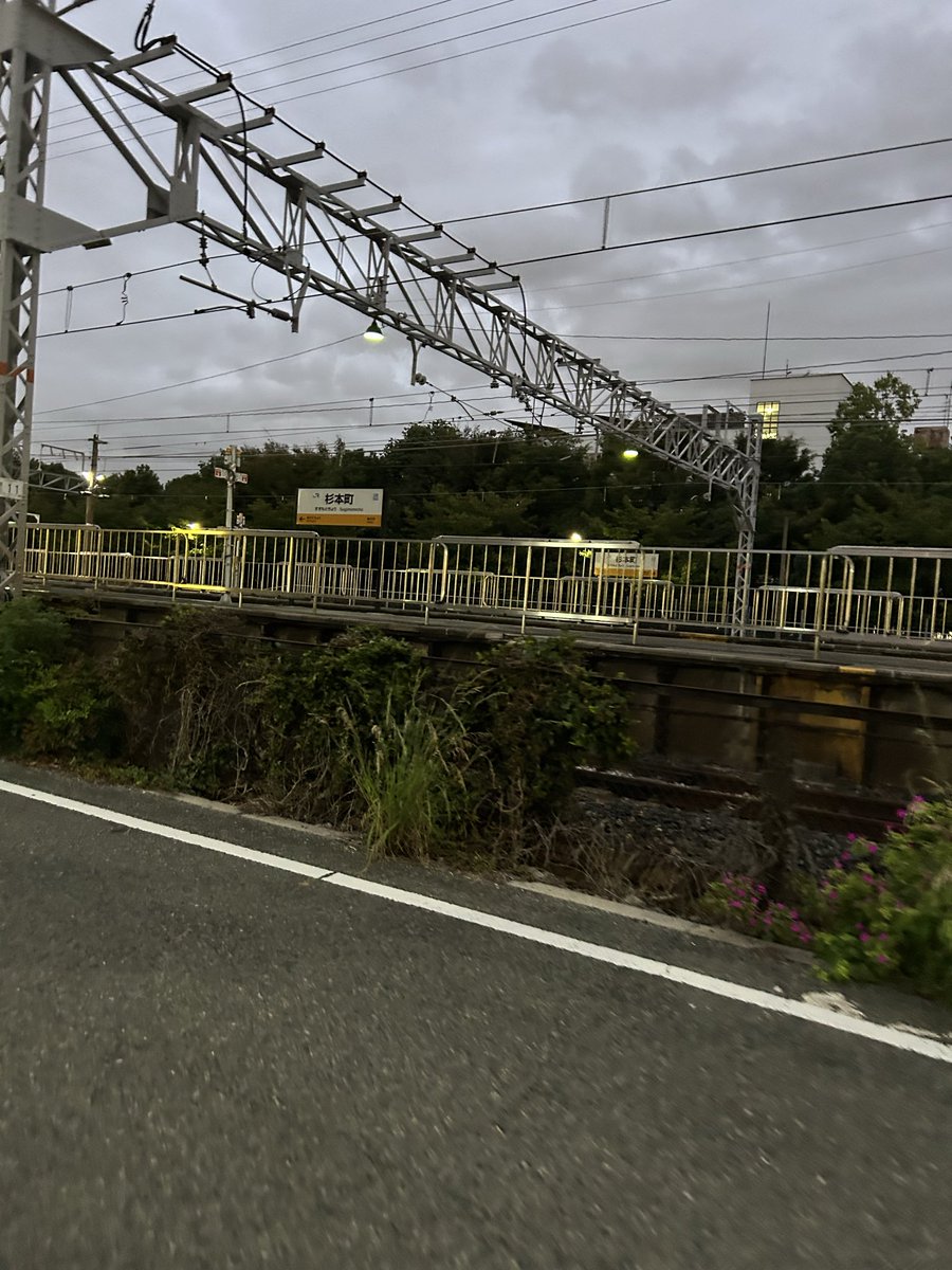 おひさ