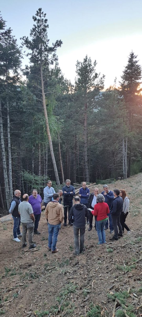 🌳 En el marc de l’assemblea anual de la Federació Europea de Municipis Forestals (FECOF), enguany a Catalunya, visitem el bosc de #Campelles per conèixer-ne la gestió i els valors ambientals.

🗣️El diputat de #MediAmbientDdGi, Josep Maria Bagot, hi ha explicat les línies d’ajuts