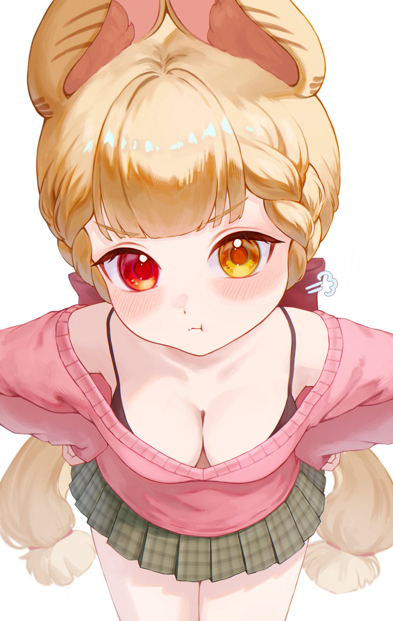 投稿の画像