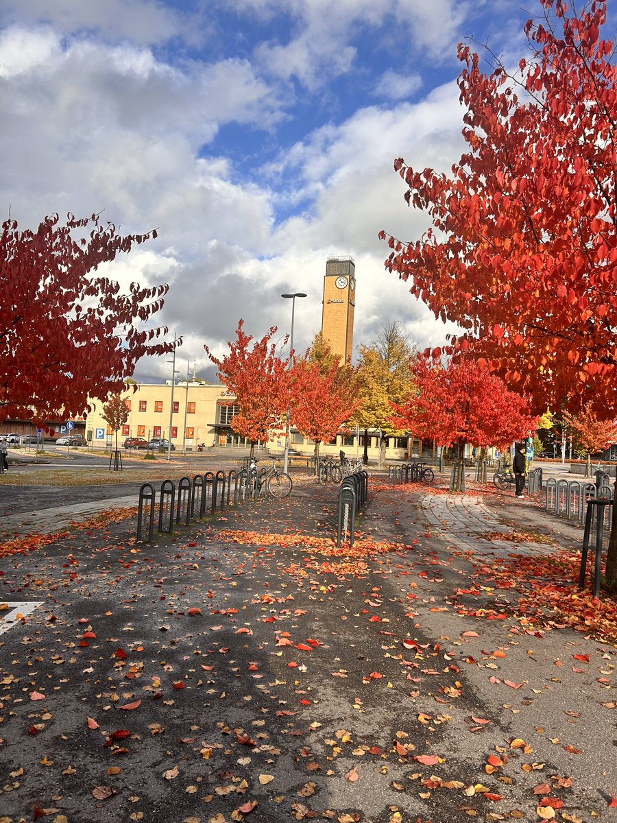 TareeqKhamis's tweet photo. Lahti 🍂🍁 https://t.co/M3W6ar1wkS