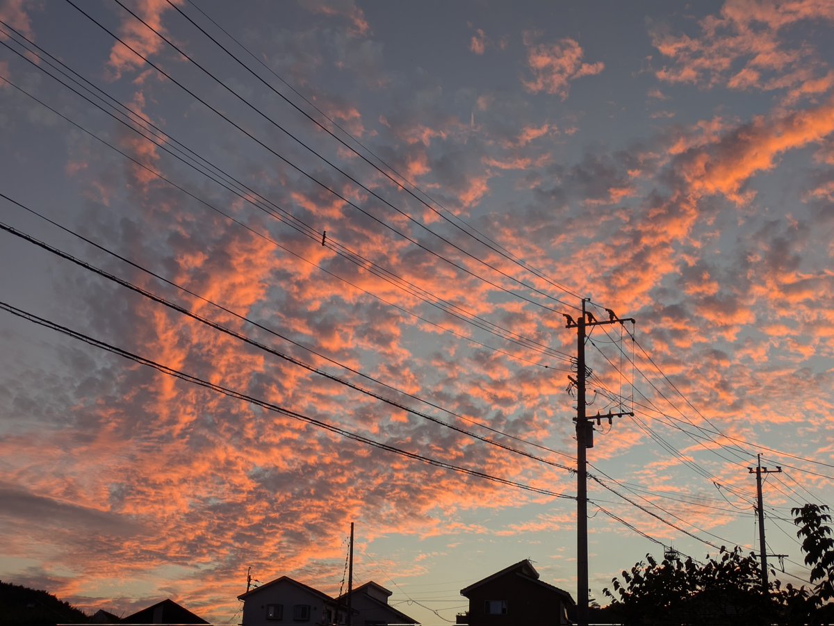 blue_pikumin's tweet image. 素敵な空