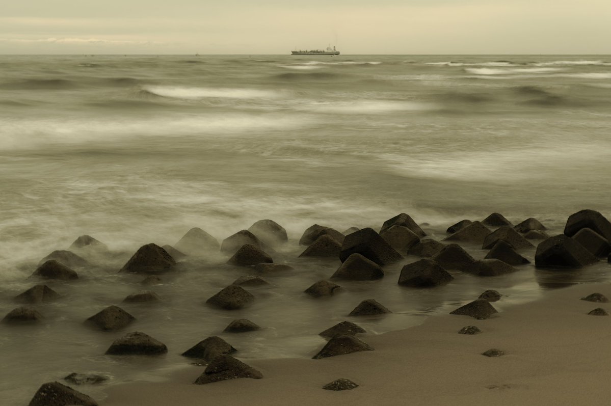 gaolang3c's tweet image. 朝の浜
SIGMA fp L & Lumix S 24-105 F4 Macro O.I.S
#naturephotography #naturelovers #sigmafpl #sigma #beach #beachlife