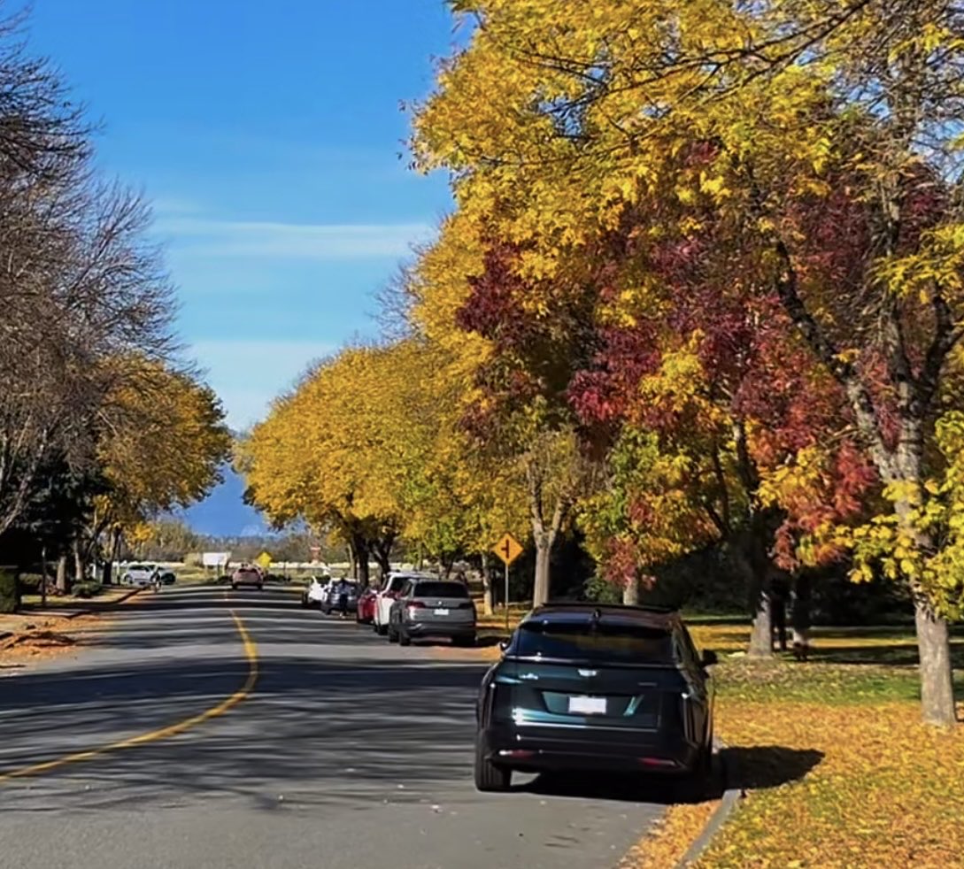 💚Beautiful fall - the season of harvest!

#crypto #memes #altcoin #Bitcoin #ETH #BTC #meme #gem