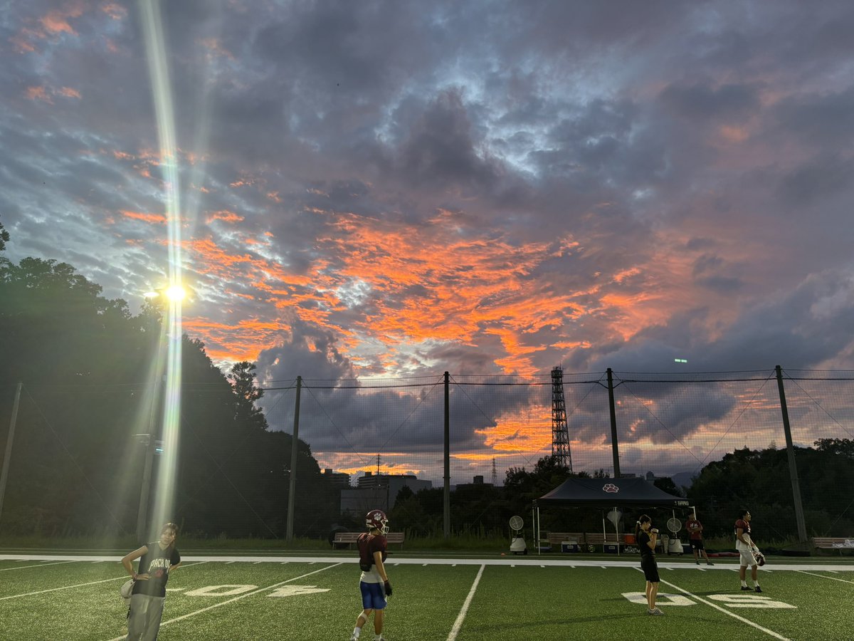 Jesse Thompson tweet media