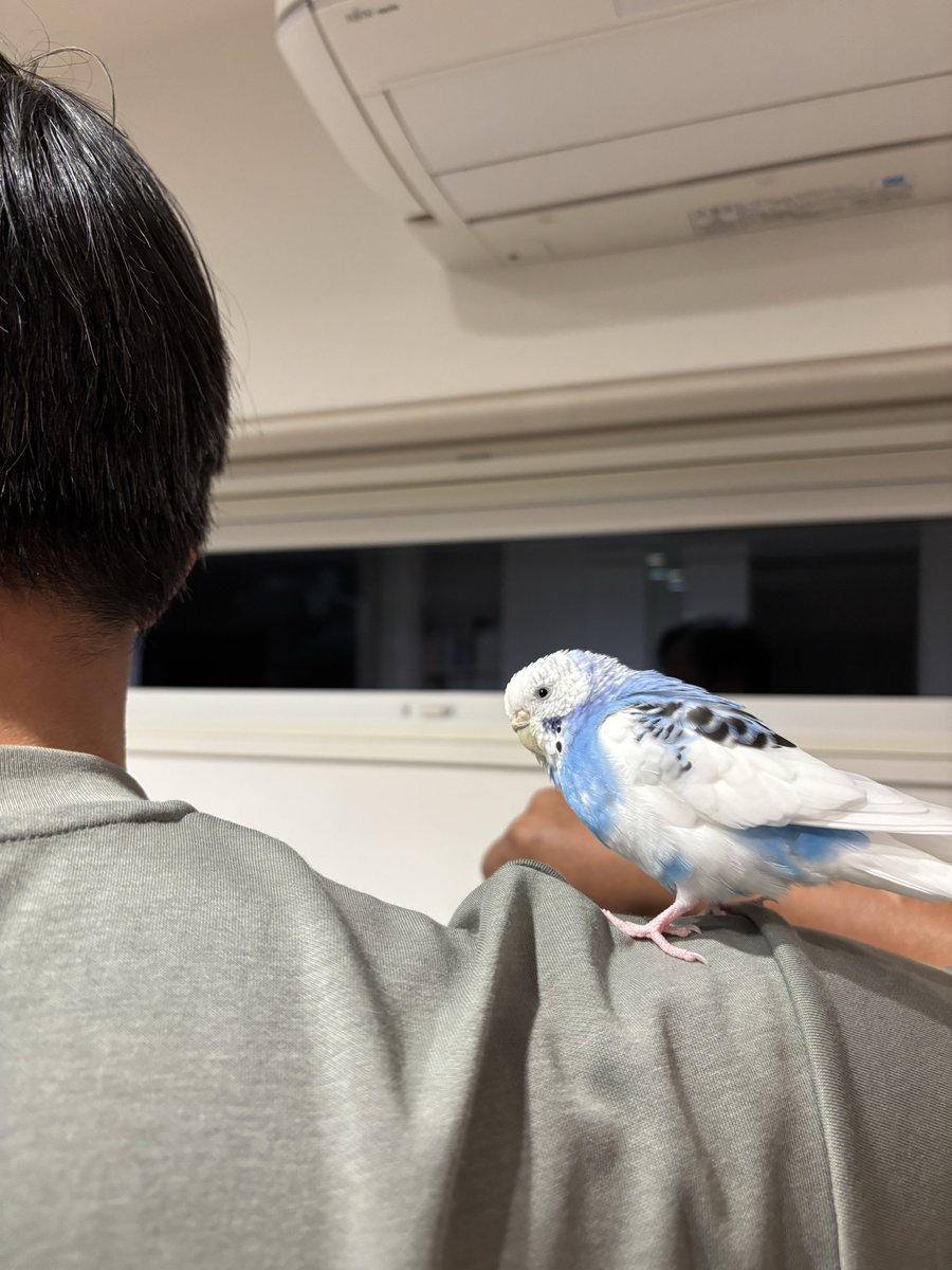 Tweet media one