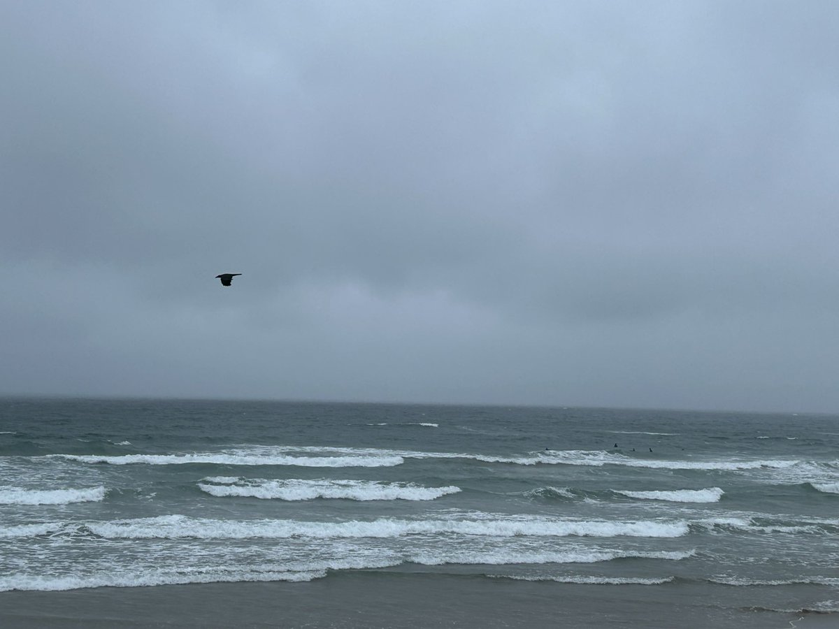 ゴルフ場を横断するとサーフポイント
オンショア10m/s(強風)