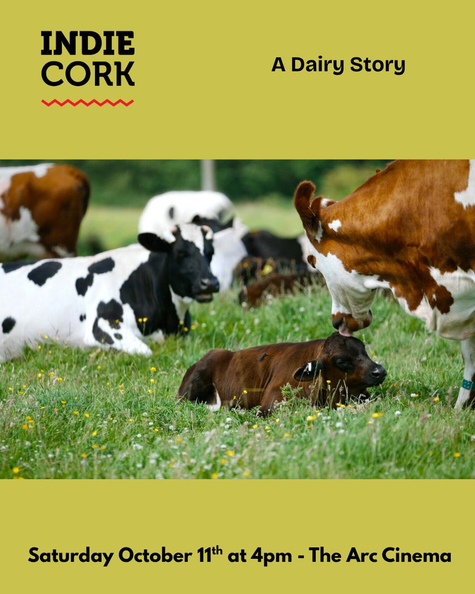 IndieCork Film Festival tweet media