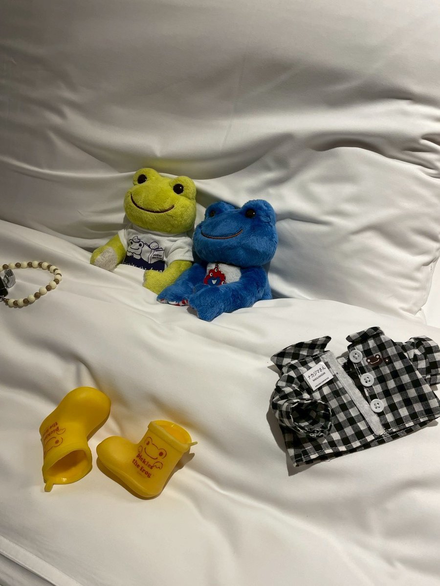 万博を満喫したナカジマさんは
ホテルで眠りにつくのでした🌙

#かえるのピクルス　#お友達が増えたみたい