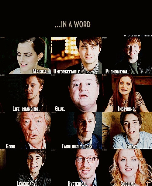 Describe your Harry Potter experience in a word...