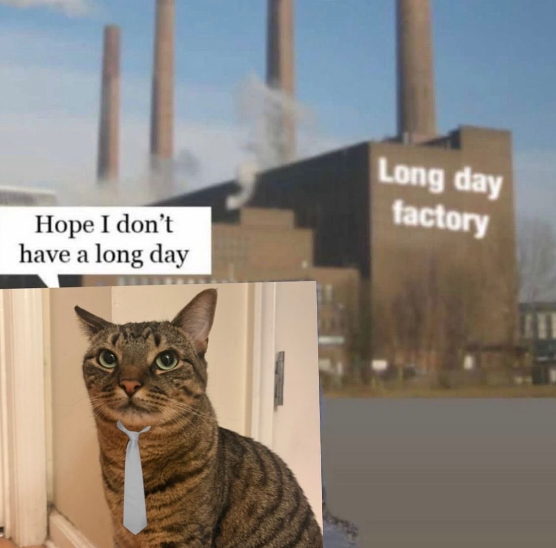 ADHD Memes (@adhdforreal) on Twitter photo 