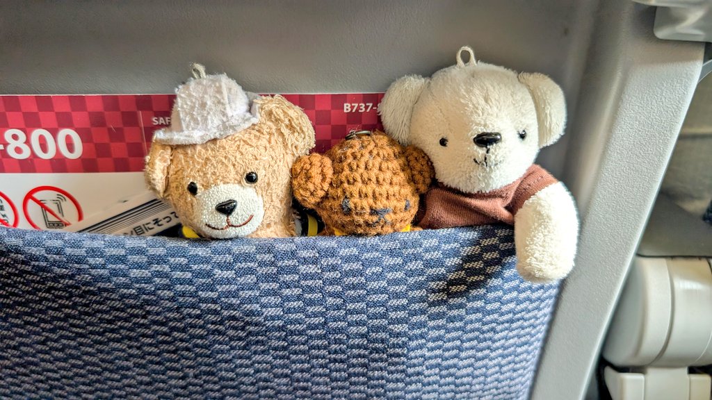 seibi3_beardo3's tweet photo. 🐻‍❄️🐻🧸 こんど つれてってね☺️🛏️😴 https://t.co/4sJ7kERWXi