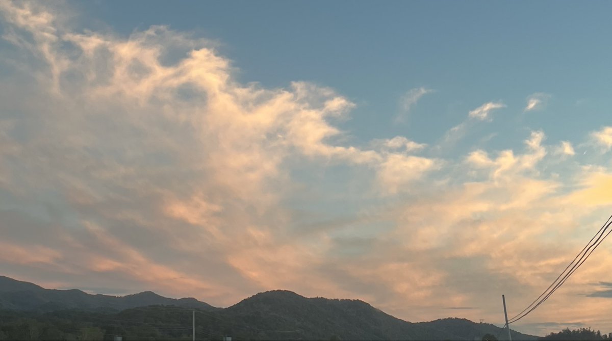 Bill Hartley tweet media