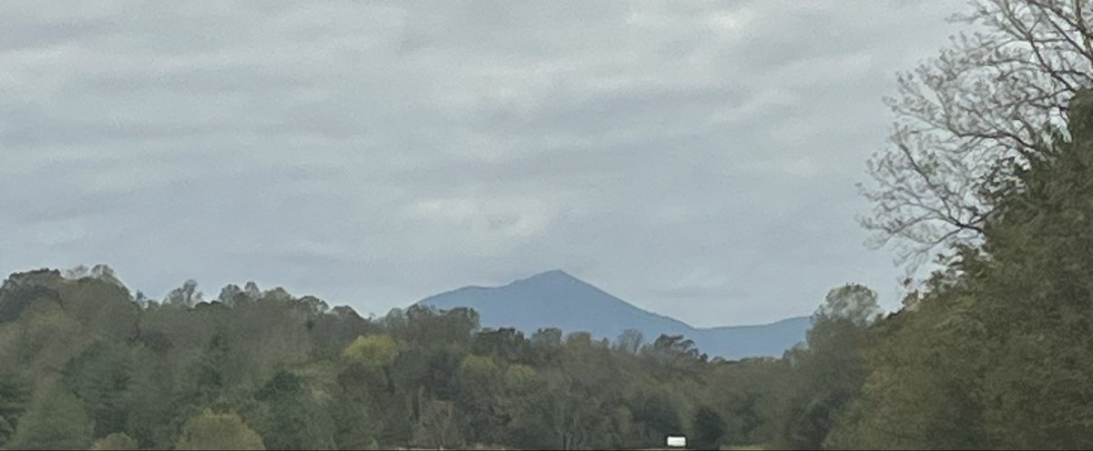 Bill Hartley tweet media