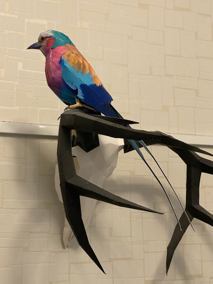kamitoriya's tweet photo. I've resumed making the paper craft of the Lilac-breasted Roller!

ライラックニシブッポウソウ、制作再会しました！

#papercraft 
#lilacbreastedroller 
#kamitoriya 
#ペーパークラフト 
#ライラックニシブッポウソウ 
#紙鳥屋 https://t.co/ktfPuomOBz