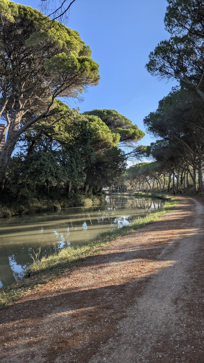 MagaliVernhes's tweet photo. Canal du Midi https://t.co/0GiIXrfg9H