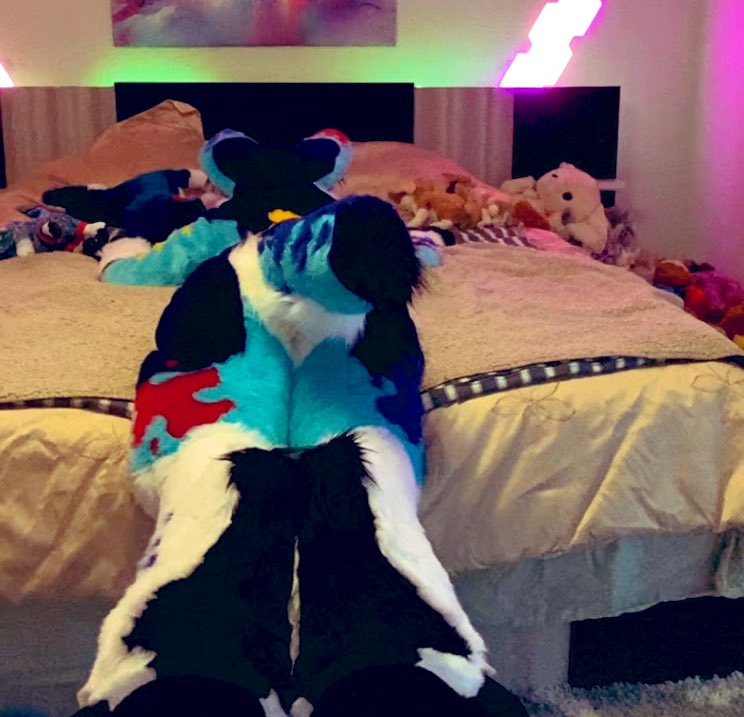 SplatFennec's tweet image. Goodnight everyone in my phone
Sleep well and have good dreams
