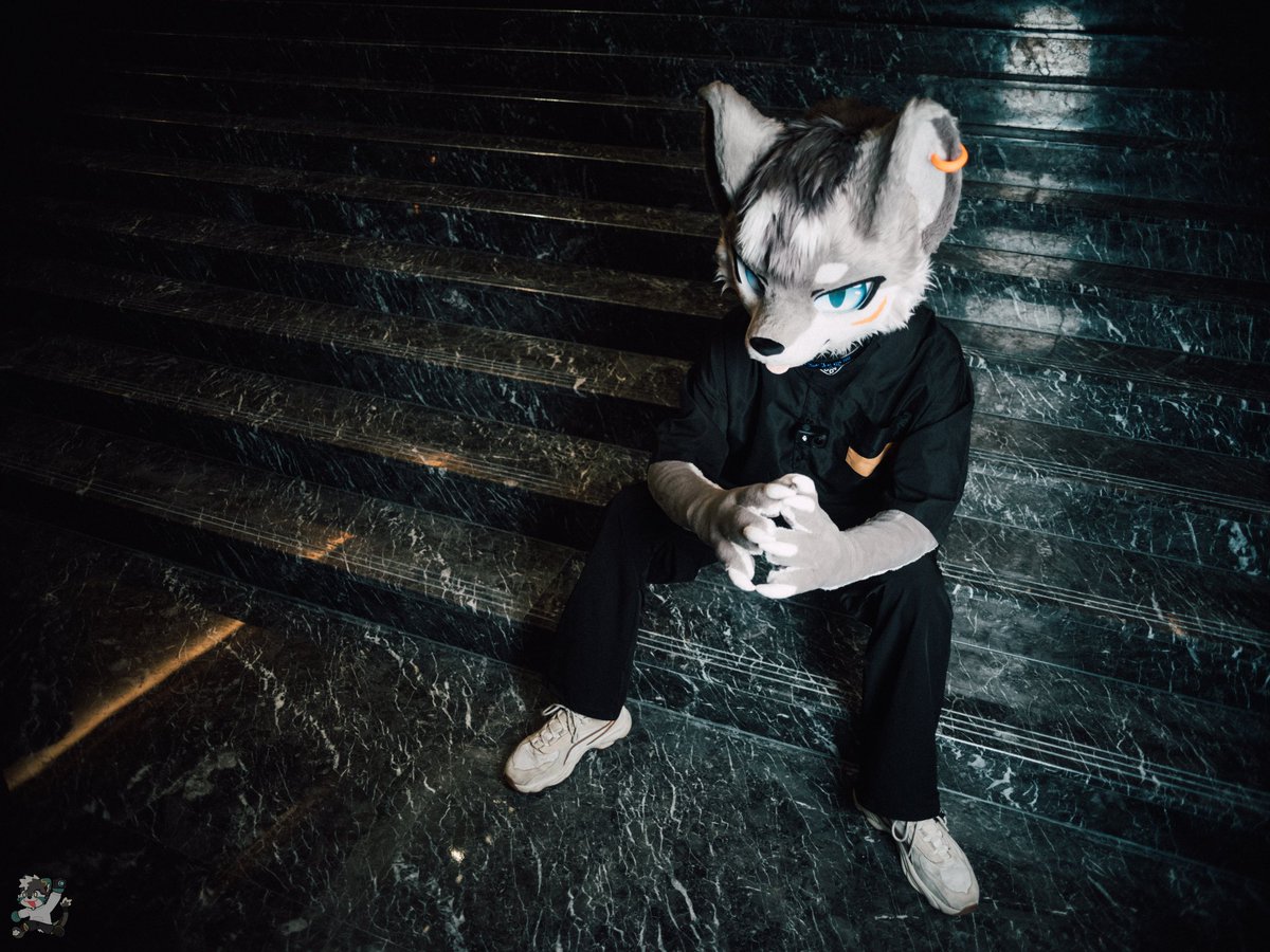 LLLLLykos tweet media