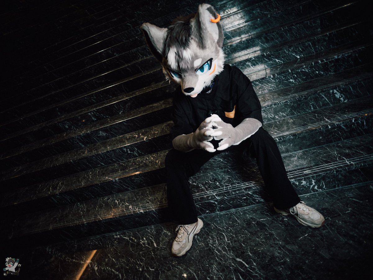 LLLLLykos tweet media