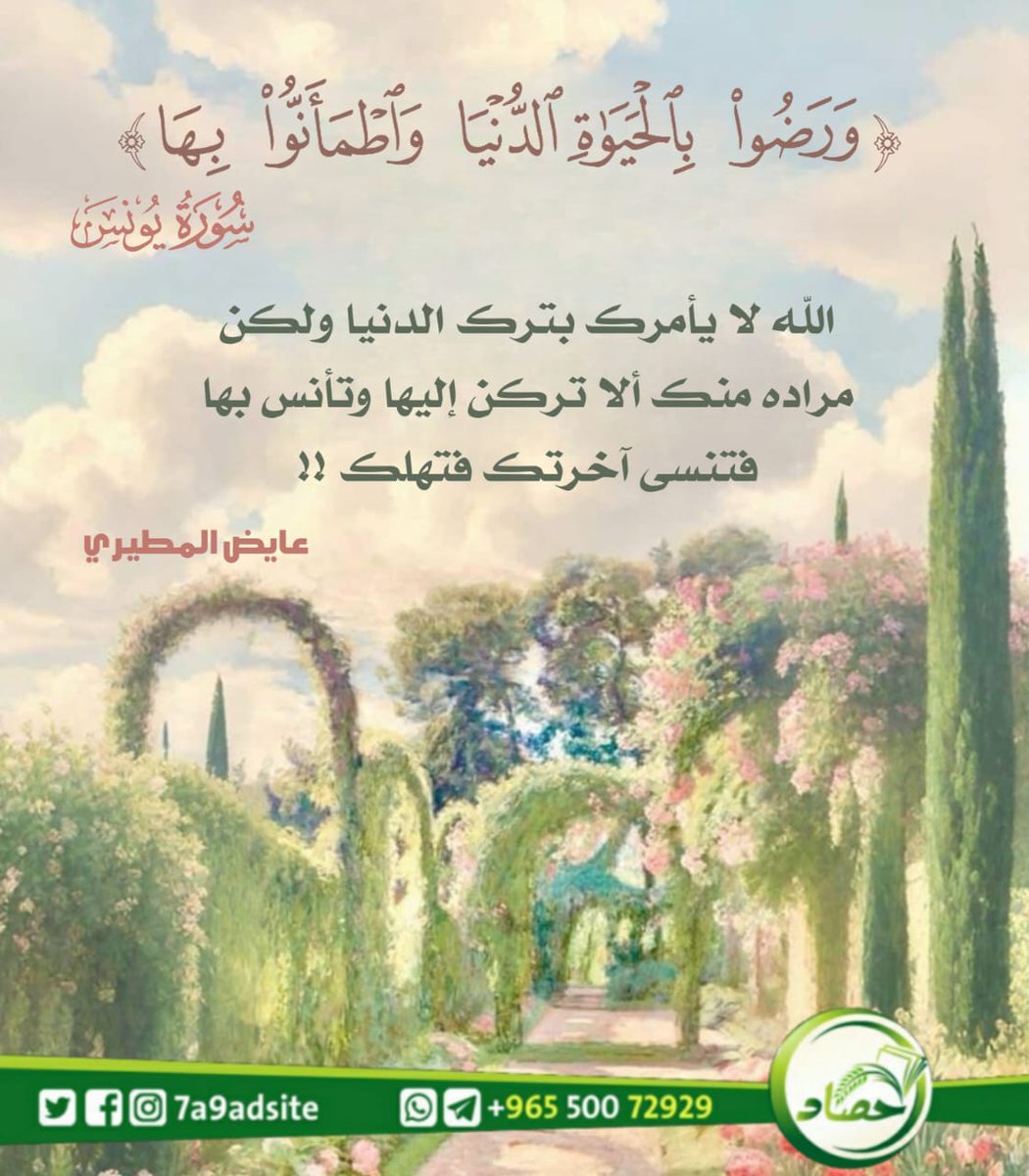 حصاد tweet media