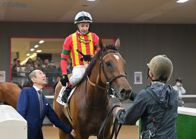 gallop_keiba's tweet image. 東京7Rは2番人気 #ボウウィンドウ が勝利！ 好位抜け出しの完勝で連勝！
母は16年アルテミスS2着など活躍したフローレスマジック。近親にラキシス、サトノアラジンがいます。