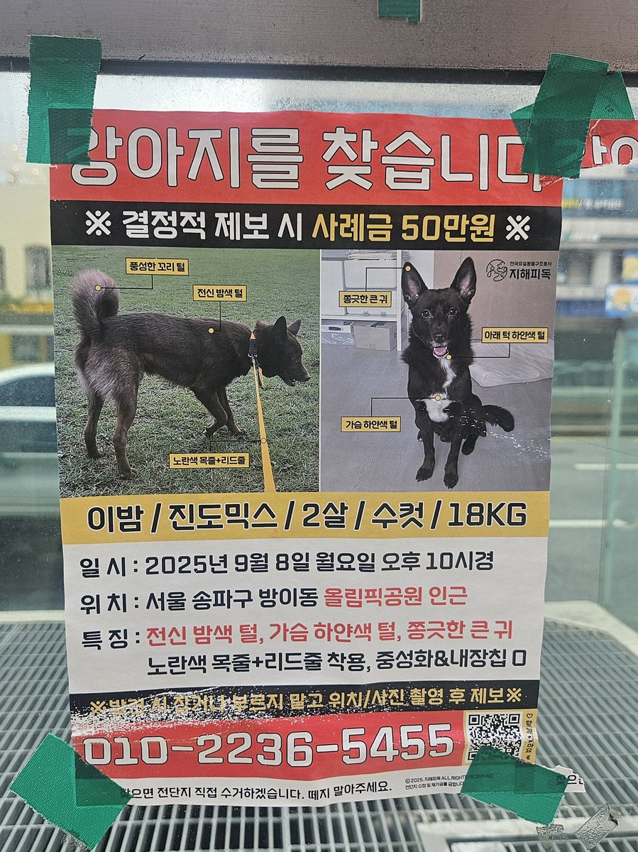 지나가다 본 전단지인데 우리집 강아지도 깜개라서 마음이 쓰인다
올공 다니시는 트친들 보시게 되면 연락 부탁드립니다 .....